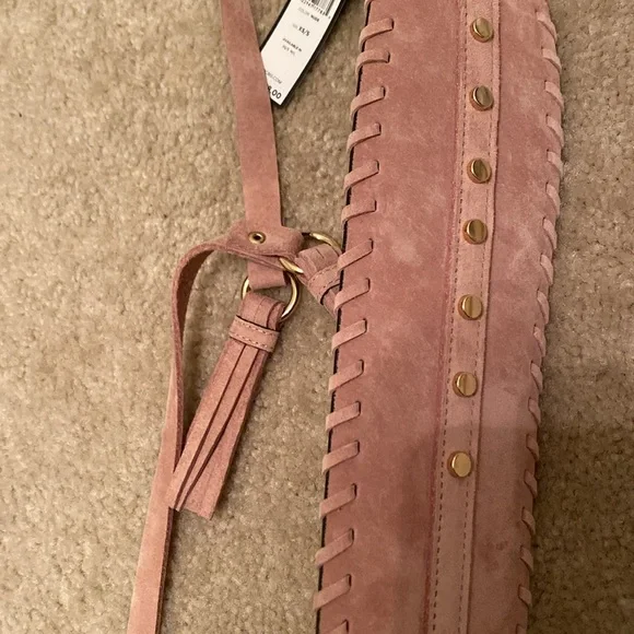 BCBGMaxAzria | Accessories | Pale Pink Suede Bcbg Maxazria  display picture 2